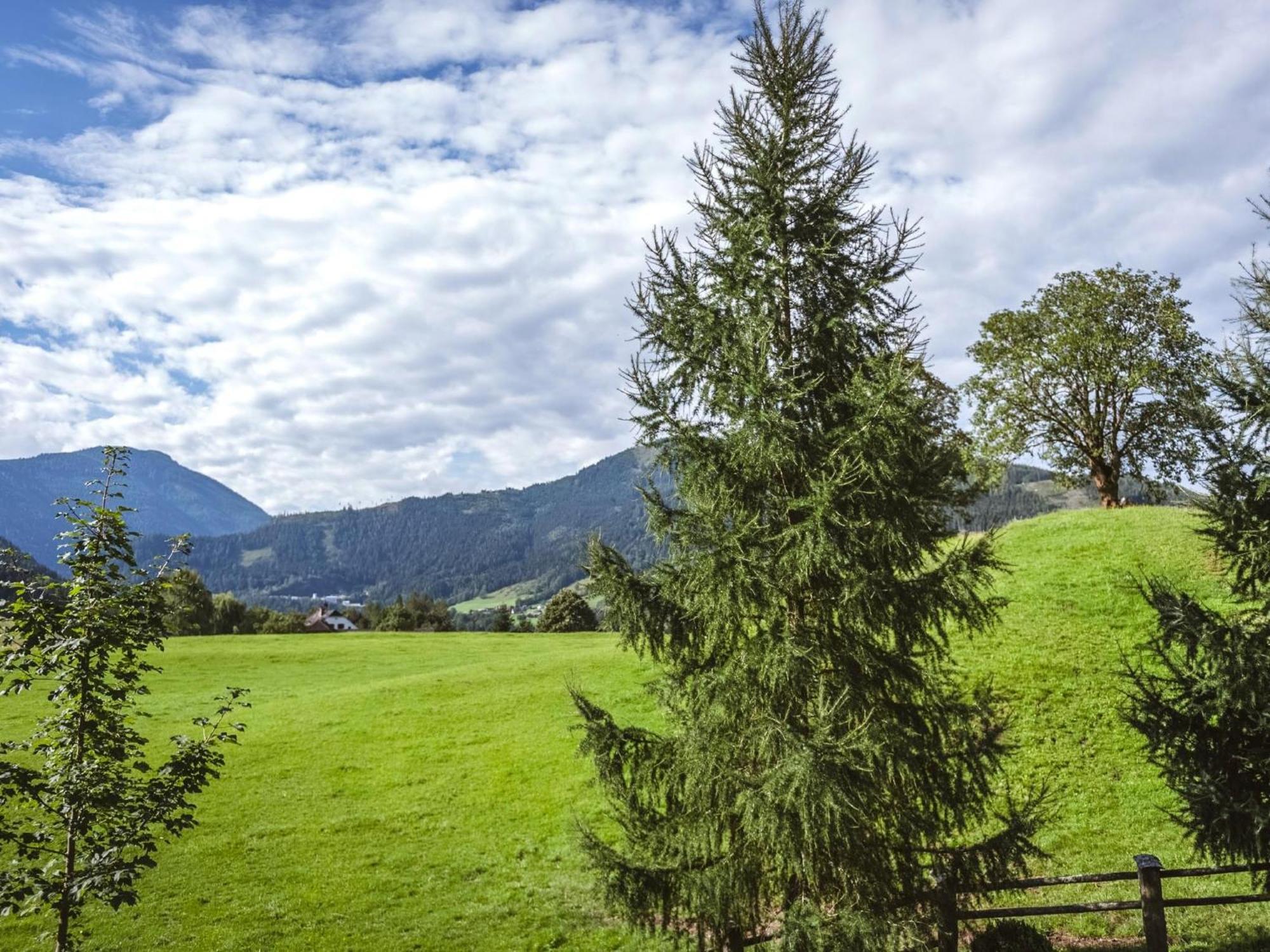 Naturpark Chalet Schladming-Dachstein Grosssolk المظهر الخارجي الصورة